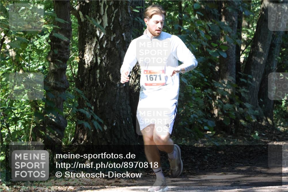 28.09.2025 - 33. Volkslauf durch das schöne Alstertal Strokosch-Dieckow http://msf.ph/oto/8970818 28.09.2025 12:00:58 Laufen 1671 meine-sportfotos.de