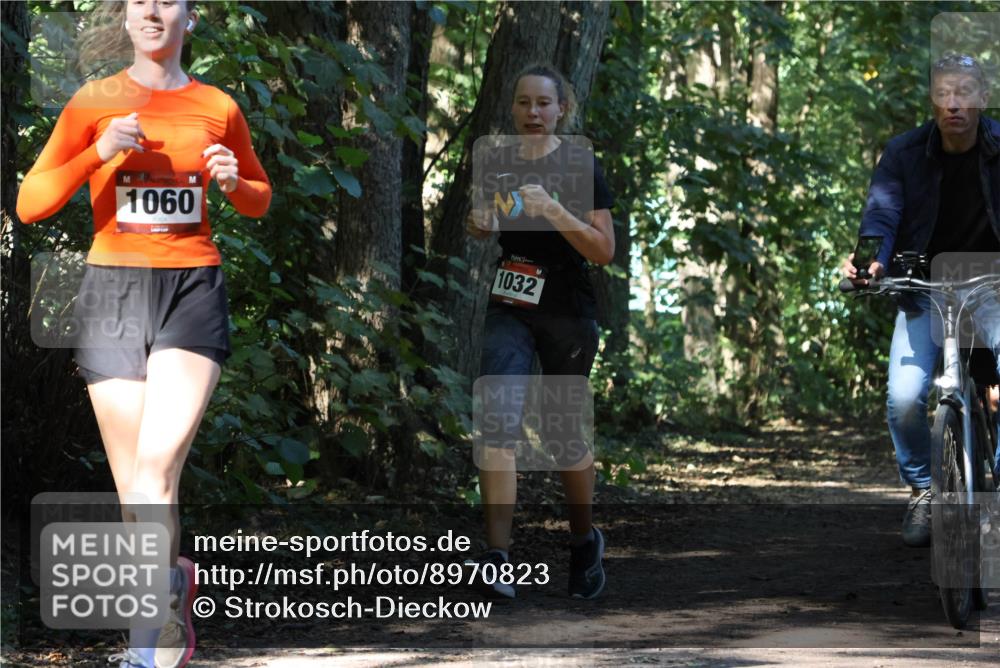 28.09.2025 - 33. Volkslauf durch das schöne Alstertal Strokosch-Dieckow http://msf.ph/oto/8970823 28.09.2025 12:01:08 Laufen 1060, 1032 meine-sportfotos.de