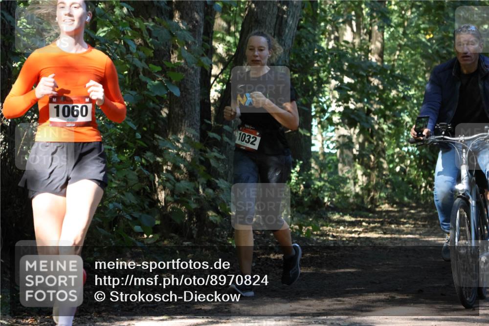 28.09.2025 - 33. Volkslauf durch das schöne Alstertal Strokosch-Dieckow http://msf.ph/oto/8970824 28.09.2025 12:01:08 Laufen 1060, 1032 meine-sportfotos.de