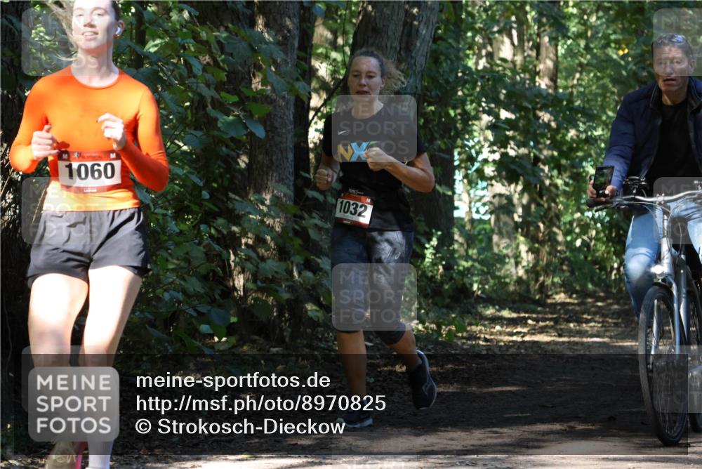 28.09.2025 - 33. Volkslauf durch das schöne Alstertal Strokosch-Dieckow http://msf.ph/oto/8970825 28.09.2025 12:01:08 Laufen 1060, 1032 meine-sportfotos.de
