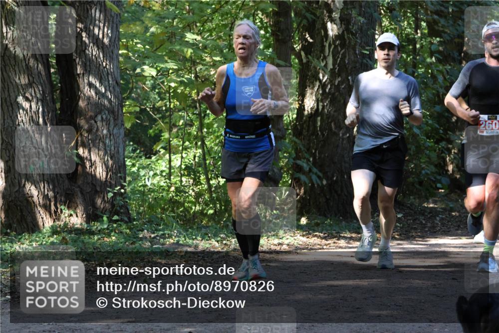 28.09.2025 - 33. Volkslauf durch das schöne Alstertal Strokosch-Dieckow http://msf.ph/oto/8970826 28.09.2025 12:01:18 Laufen 260 meine-sportfotos.de