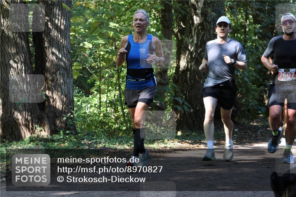 28.09.2025 - 33. Volkslauf durch das schöne Alstertal Strokosch-Dieckow http://msf.ph/oto/8970827 28.09.2025 12:01:18 Laufen 2607 meine-sportfotos.de