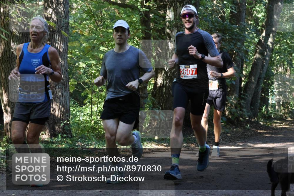 28.09.2025 - 33. Volkslauf durch das schöne Alstertal Strokosch-Dieckow http://msf.ph/oto/8970830 28.09.2025 12:01:19 Laufen 2607 meine-sportfotos.de