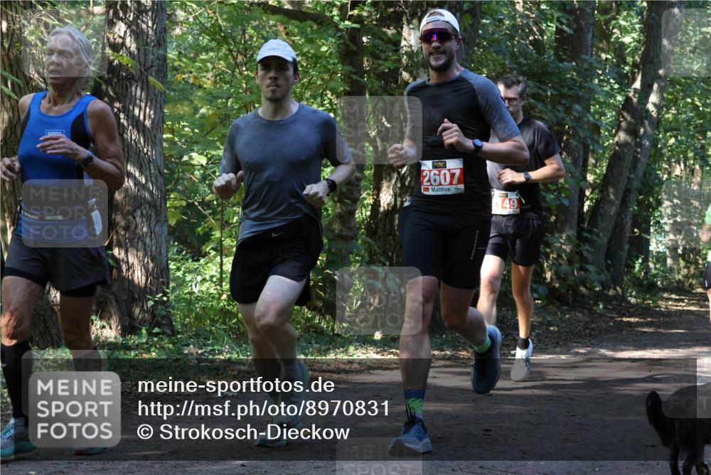 28.09.2025 - 33. Volkslauf durch das schöne Alstertal Strokosch-Dieckow http://msf.ph/oto/8970831 28.09.2025 12:01:19 Laufen 2607, 149 meine-sportfotos.de