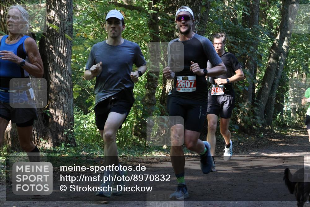 28.09.2025 - 33. Volkslauf durch das schöne Alstertal Strokosch-Dieckow http://msf.ph/oto/8970832 28.09.2025 12:01:19 Laufen 2607, 2149 meine-sportfotos.de