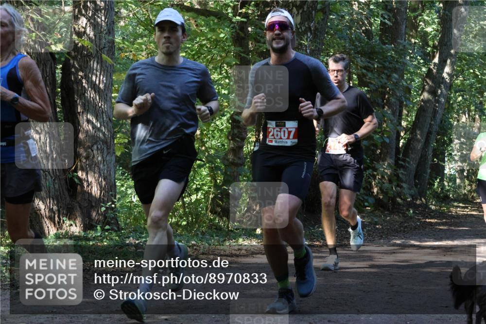 28.09.2025 - 33. Volkslauf durch das schöne Alstertal Strokosch-Dieckow http://msf.ph/oto/8970833 28.09.2025 12:01:19 Laufen 2607 meine-sportfotos.de