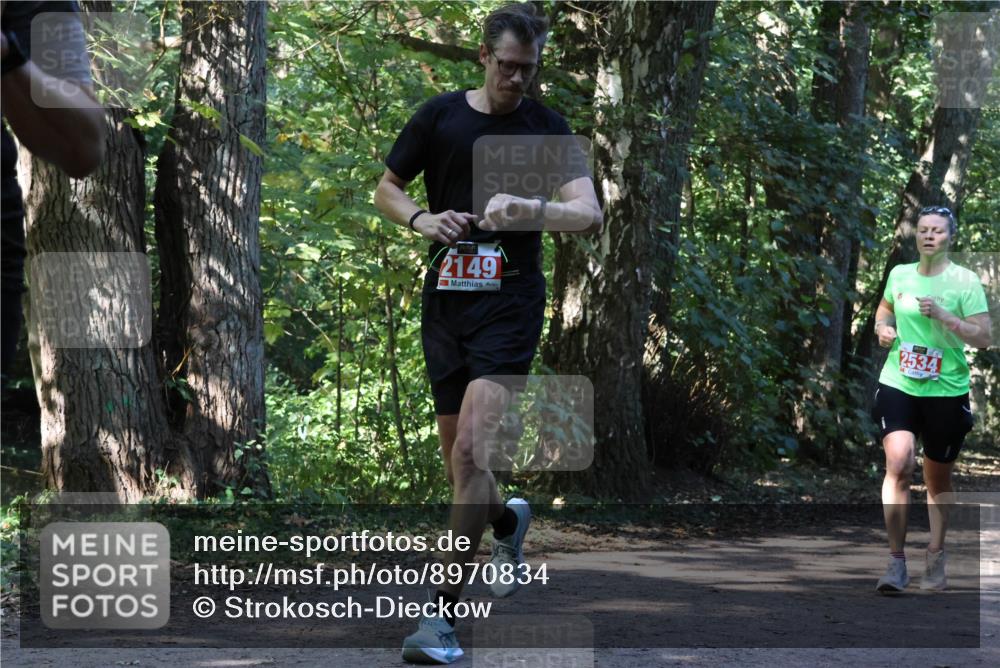 28.09.2025 - 33. Volkslauf durch das schöne Alstertal Strokosch-Dieckow http://msf.ph/oto/8970834 28.09.2025 12:01:20 Laufen 2149, 2534 meine-sportfotos.de