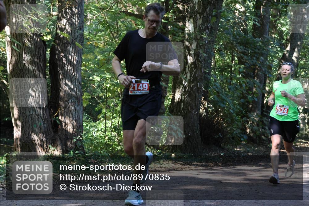 28.09.2025 - 33. Volkslauf durch das schöne Alstertal Strokosch-Dieckow http://msf.ph/oto/8970835 28.09.2025 12:01:21 Laufen 2149, 2534 meine-sportfotos.de