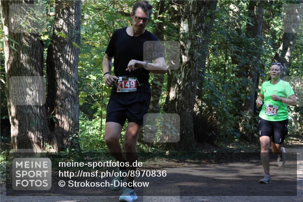 28.09.2025 - 33. Volkslauf durch das schöne Alstertal Strokosch-Dieckow http://msf.ph/oto/8970836 28.09.2025 12:01:21 Laufen 2149, 2534 meine-sportfotos.de