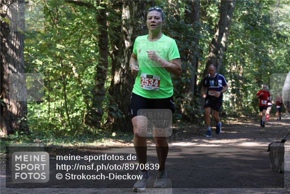 28.09.2025 - 33. Volkslauf durch das schöne Alstertal Strokosch-Dieckow http://msf.ph/oto/8970839 28.09.2025 12:01:22 Laufen 2534, 1681 meine-sportfotos.de