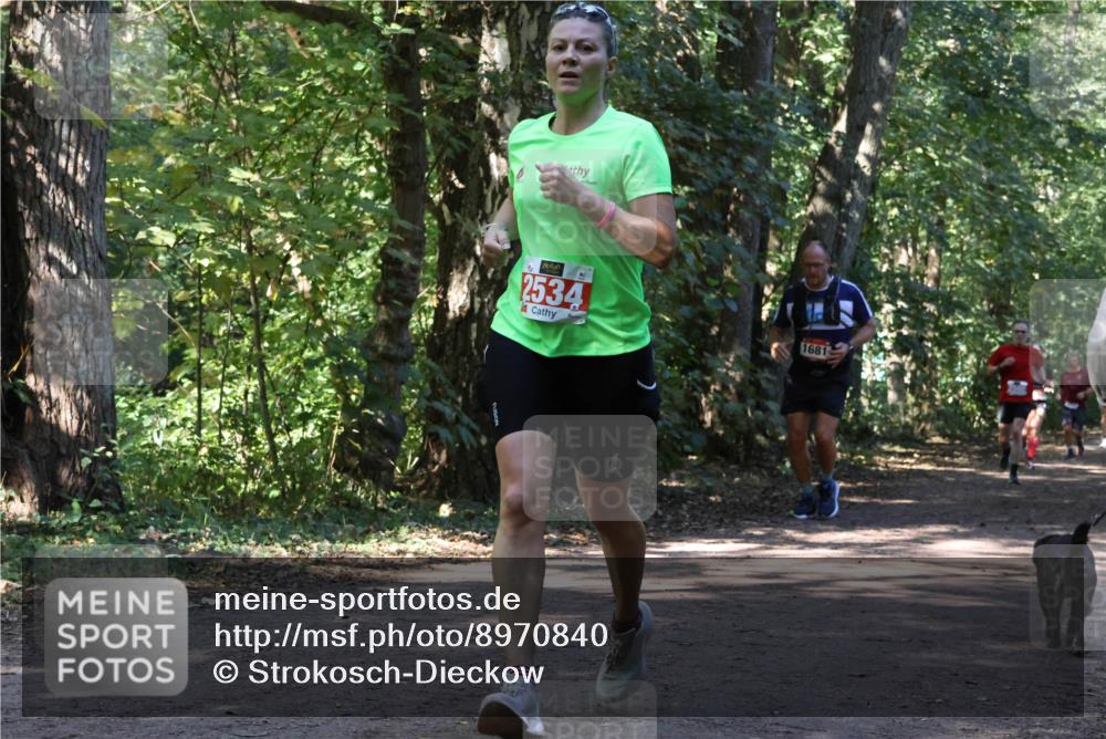 28.09.2025 - 33. Volkslauf durch das schöne Alstertal Strokosch-Dieckow http://msf.ph/oto/8970840 28.09.2025 12:01:22 Laufen 2534, 1681 meine-sportfotos.de