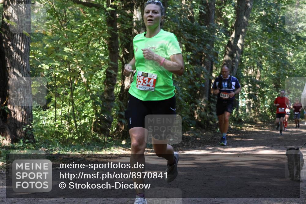 28.09.2025 - 33. Volkslauf durch das schöne Alstertal Strokosch-Dieckow http://msf.ph/oto/8970841 28.09.2025 12:01:22 Laufen 2534, 1681 meine-sportfotos.de