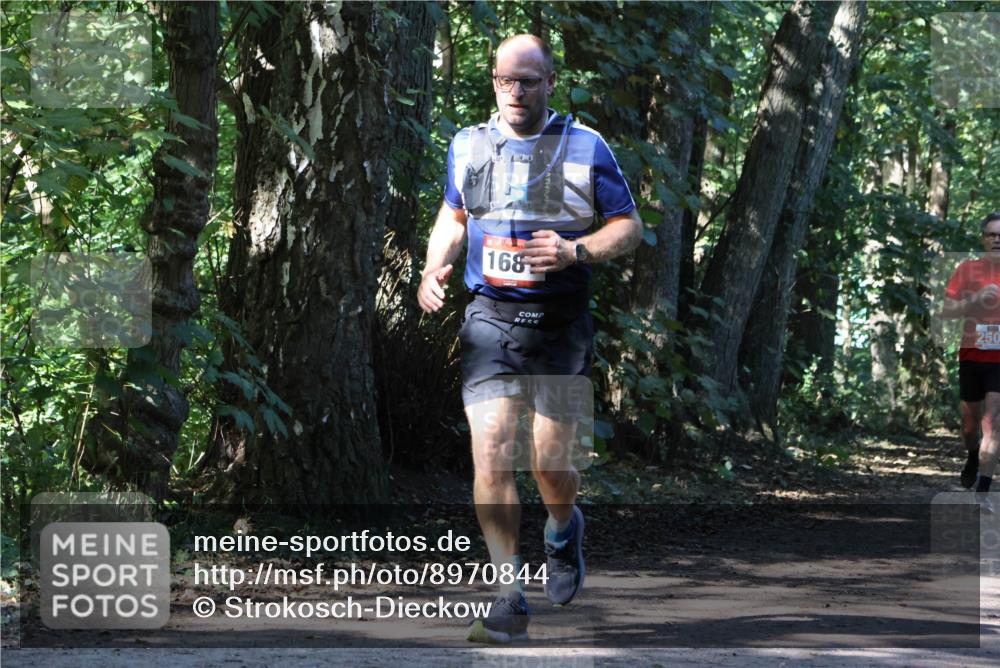 28.09.2025 - 33. Volkslauf durch das schöne Alstertal Strokosch-Dieckow http://msf.ph/oto/8970844 28.09.2025 12:01:24 Laufen 168, 250 meine-sportfotos.de
