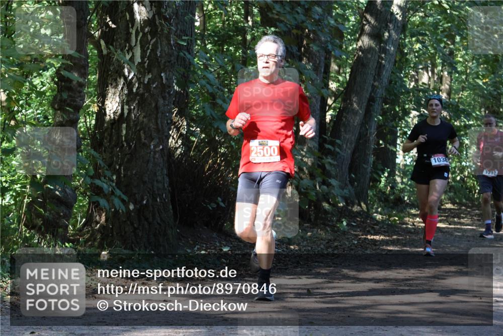 28.09.2025 - 33. Volkslauf durch das schöne Alstertal Strokosch-Dieckow http://msf.ph/oto/8970846 28.09.2025 12:01:28 Laufen 2500, 1038, 1712 meine-sportfotos.de
