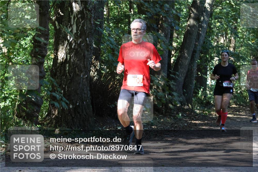 28.09.2025 - 33. Volkslauf durch das schöne Alstertal Strokosch-Dieckow http://msf.ph/oto/8970847 28.09.2025 12:01:28 Laufen 00, 1038, 1712 meine-sportfotos.de