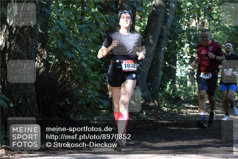 28.09.2025 - 33. Volkslauf durch das schöne Alstertal Strokosch-Dieckow http://msf.ph/oto/8970852 28.09.2025 12:01:30 Laufen 1038, 4, 1712, 2453 meine-sportfotos.de