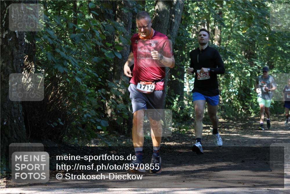 28.09.2025 - 33. Volkslauf durch das schöne Alstertal Strokosch-Dieckow http://msf.ph/oto/8970855 28.09.2025 12:01:32 Laufen 30, 19, 1712, 2453, 1675 meine-sportfotos.de