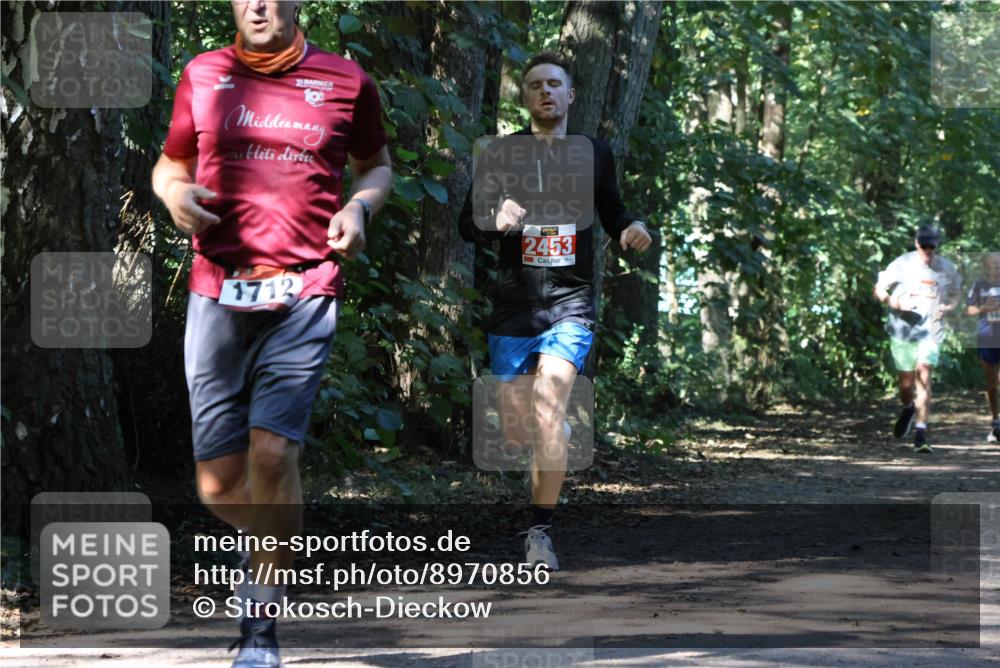 28.09.2025 - 33. Volkslauf durch das schöne Alstertal Strokosch-Dieckow http://msf.ph/oto/8970856 28.09.2025 12:01:33 Laufen 19, 1712, 2453 meine-sportfotos.de