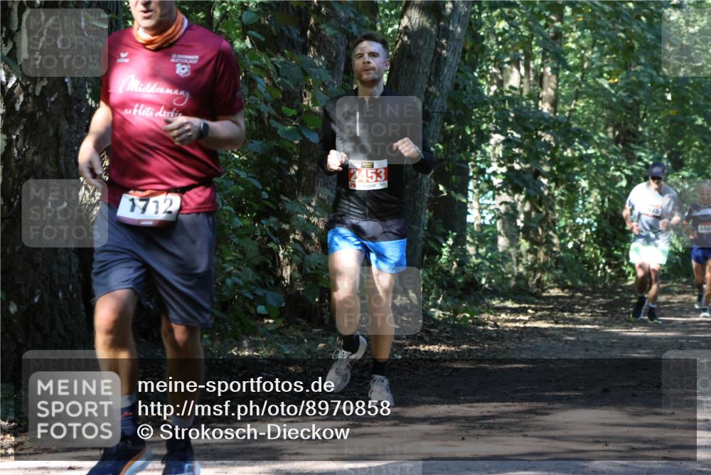 28.09.2025 - 33. Volkslauf durch das schöne Alstertal Strokosch-Dieckow http://msf.ph/oto/8970858 28.09.2025 12:01:33 Laufen 10, 1712, 2453, 675, 165 meine-sportfotos.de
