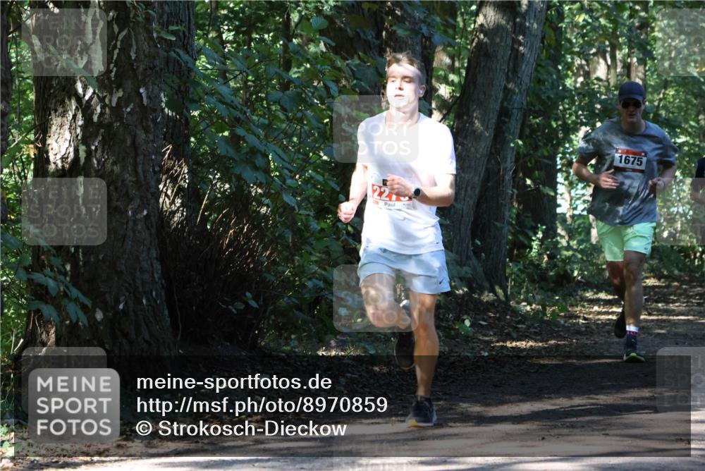 28.09.2025 - 33. Volkslauf durch das schöne Alstertal Strokosch-Dieckow http://msf.ph/oto/8970859 28.09.2025 12:01:39 Laufen 22, 1675 meine-sportfotos.de