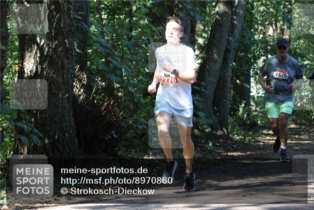 28.09.2025 - 33. Volkslauf durch das schöne Alstertal Strokosch-Dieckow http://msf.ph/oto/8970860 28.09.2025 12:01:39 Laufen 2276, 1675 meine-sportfotos.de