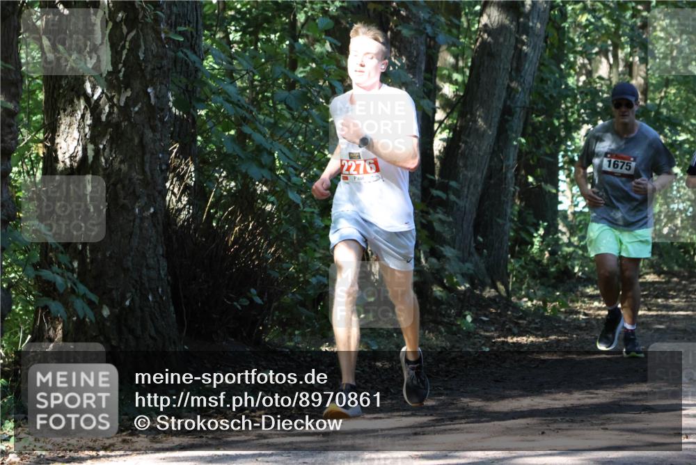 28.09.2025 - 33. Volkslauf durch das schöne Alstertal Strokosch-Dieckow http://msf.ph/oto/8970861 28.09.2025 12:01:39 Laufen 2276, 1675 meine-sportfotos.de