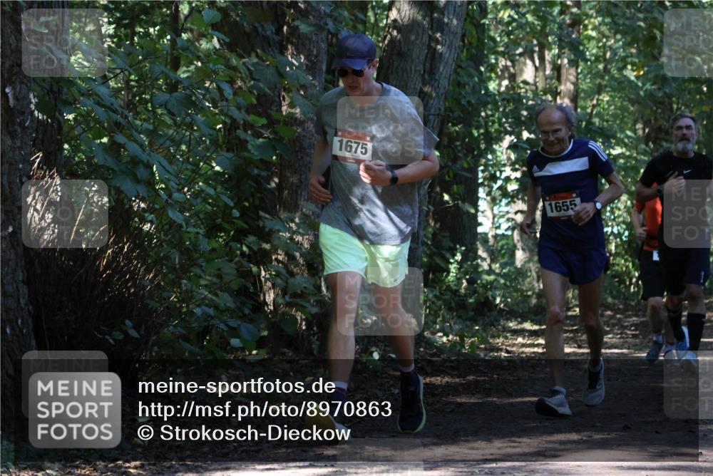 28.09.2025 - 33. Volkslauf durch das schöne Alstertal Strokosch-Dieckow http://msf.ph/oto/8970863 28.09.2025 12:01:40 Laufen 1675, 1655 meine-sportfotos.de
