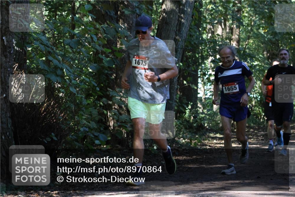 28.09.2025 - 33. Volkslauf durch das schöne Alstertal Strokosch-Dieckow http://msf.ph/oto/8970864 28.09.2025 12:01:41 Laufen 1675, 1655 meine-sportfotos.de