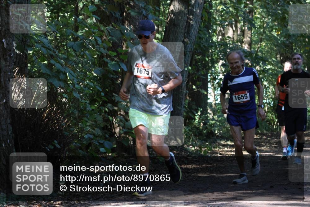 28.09.2025 - 33. Volkslauf durch das schöne Alstertal Strokosch-Dieckow http://msf.ph/oto/8970865 28.09.2025 12:01:41 Laufen 1675, 1655 meine-sportfotos.de