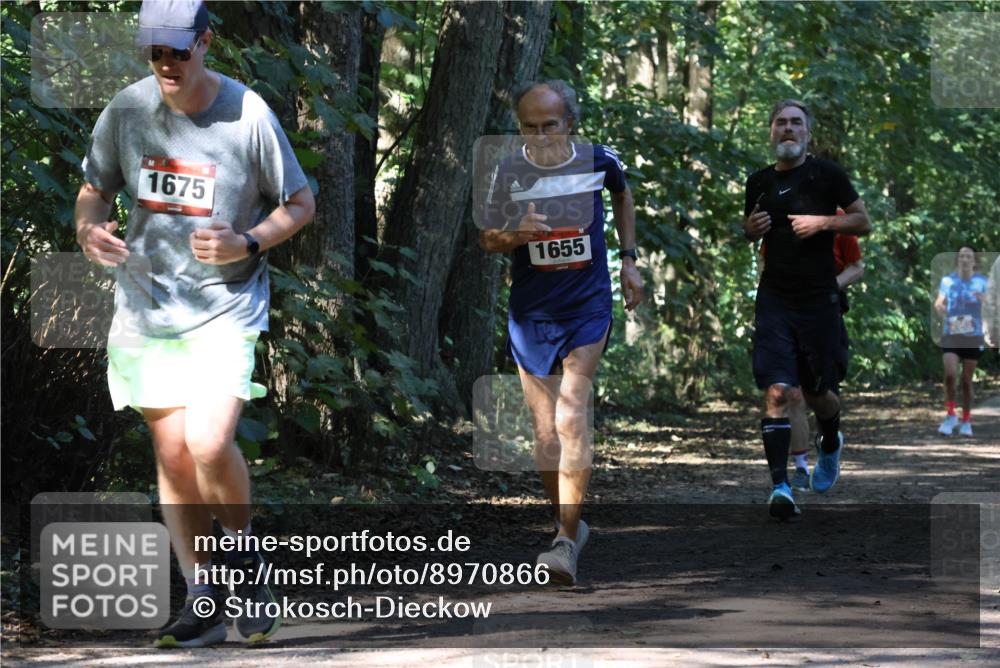 28.09.2025 - 33. Volkslauf durch das schöne Alstertal Strokosch-Dieckow http://msf.ph/oto/8970866 28.09.2025 12:01:42 Laufen 1675, 1655 meine-sportfotos.de