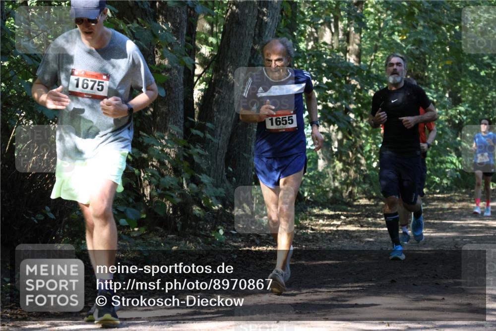 28.09.2025 - 33. Volkslauf durch das schöne Alstertal Strokosch-Dieckow http://msf.ph/oto/8970867 28.09.2025 12:01:42 Laufen 1675, 1655 meine-sportfotos.de