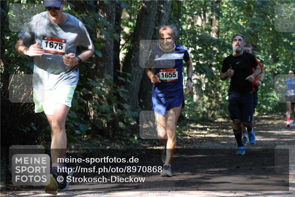 28.09.2025 - 33. Volkslauf durch das schöne Alstertal Strokosch-Dieckow http://msf.ph/oto/8970868 28.09.2025 12:01:42 Laufen 1675, 1655 meine-sportfotos.de
