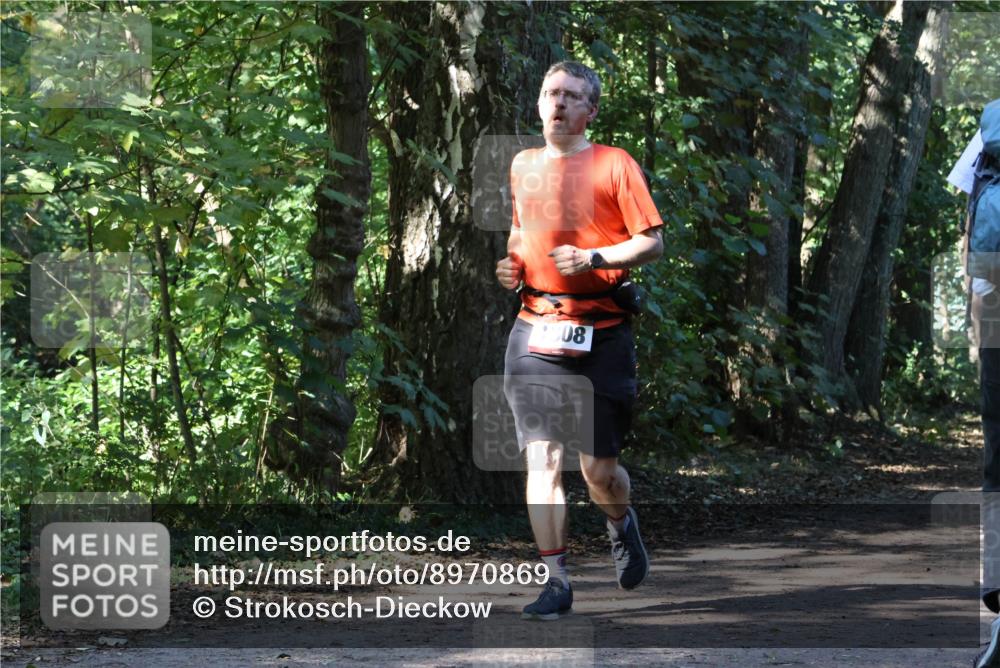 28.09.2025 - 33. Volkslauf durch das schöne Alstertal Strokosch-Dieckow http://msf.ph/oto/8970869 28.09.2025 12:01:48 Laufen 308 meine-sportfotos.de