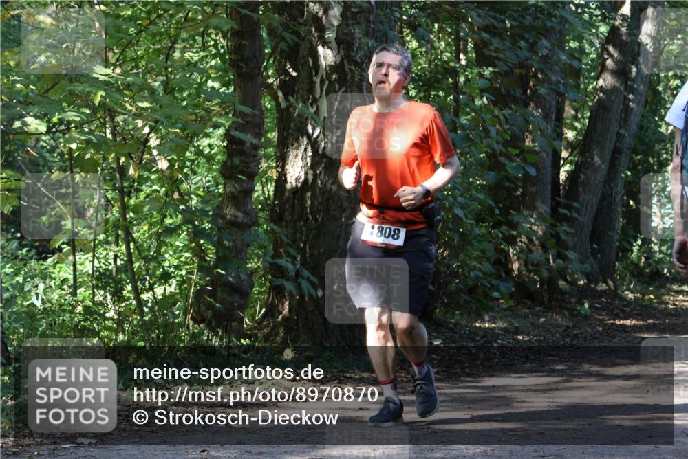 28.09.2025 - 33. Volkslauf durch das schöne Alstertal Strokosch-Dieckow http://msf.ph/oto/8970870 28.09.2025 12:01:48 Laufen 1808 meine-sportfotos.de