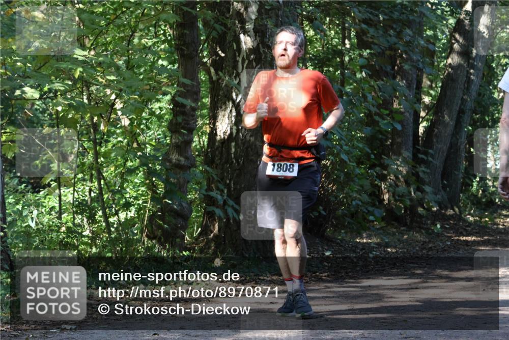28.09.2025 - 33. Volkslauf durch das schöne Alstertal Strokosch-Dieckow http://msf.ph/oto/8970871 28.09.2025 12:01:48 Laufen 1808 meine-sportfotos.de