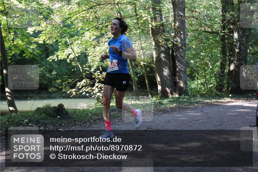 28.09.2025 - 33. Volkslauf durch das schöne Alstertal Strokosch-Dieckow http://msf.ph/oto/8970872 28.09.2025 12:01:53 Laufen 2645 meine-sportfotos.de