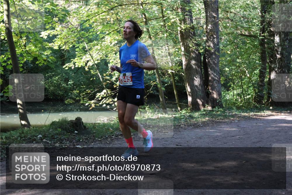 28.09.2025 - 33. Volkslauf durch das schöne Alstertal Strokosch-Dieckow http://msf.ph/oto/8970873 28.09.2025 12:01:53 Laufen 2645 meine-sportfotos.de