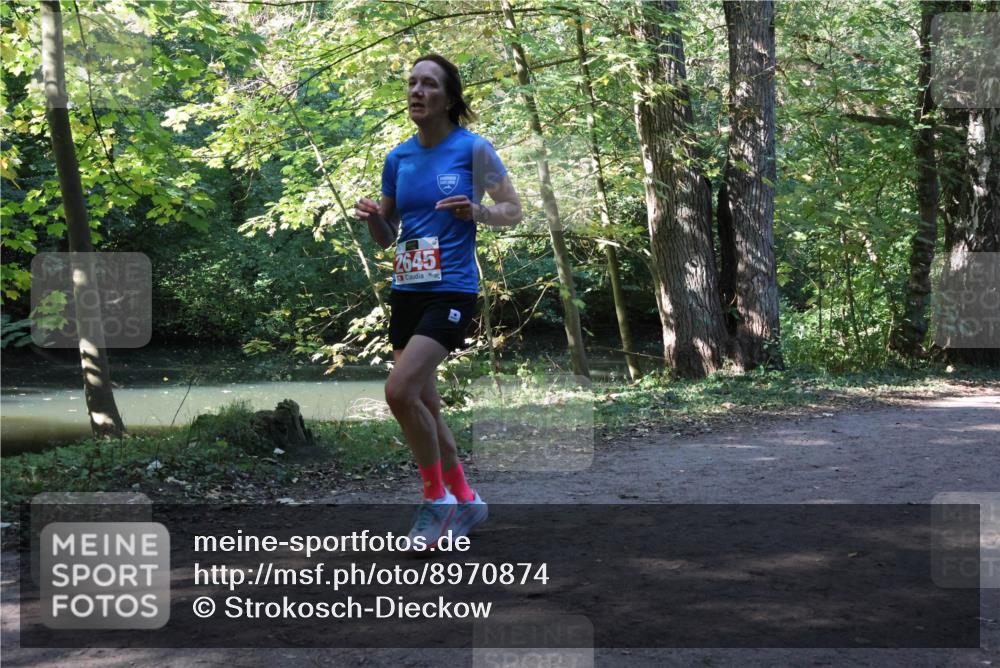 28.09.2025 - 33. Volkslauf durch das schöne Alstertal Strokosch-Dieckow http://msf.ph/oto/8970874 28.09.2025 12:01:54 Laufen 2645 meine-sportfotos.de