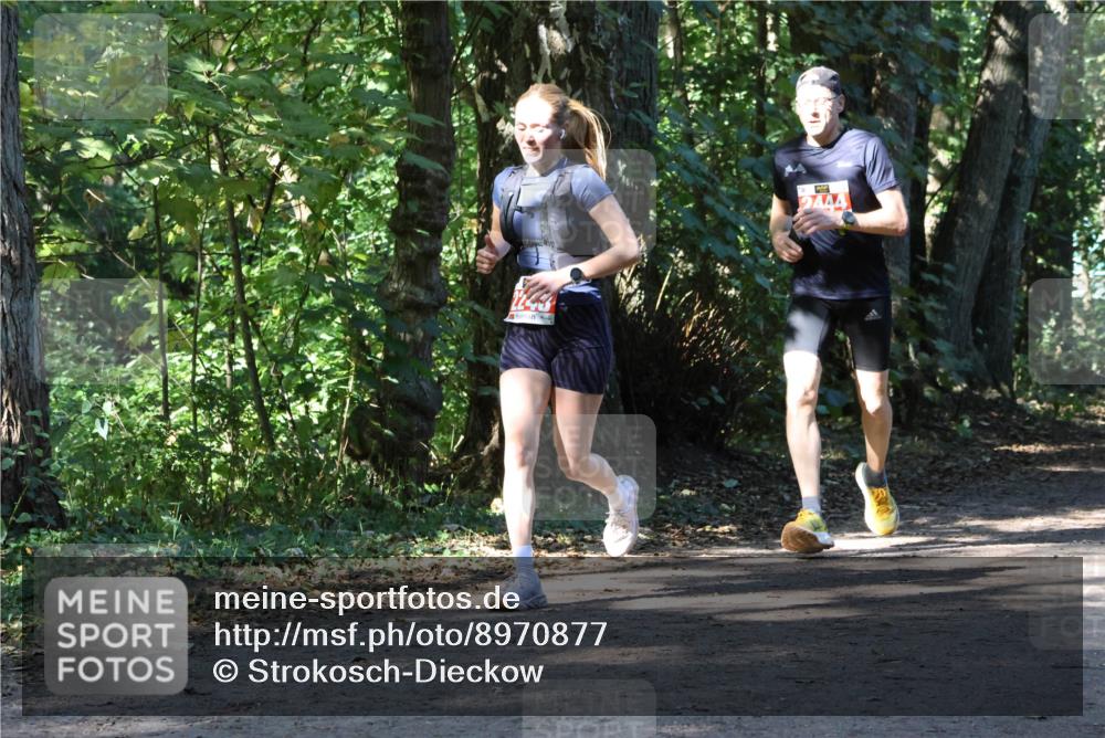 28.09.2025 - 33. Volkslauf durch das schöne Alstertal Strokosch-Dieckow http://msf.ph/oto/8970877 28.09.2025 12:02:00 Laufen  meine-sportfotos.de