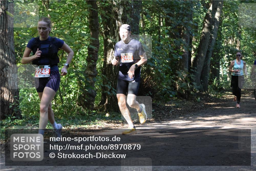 28.09.2025 - 33. Volkslauf durch das schöne Alstertal Strokosch-Dieckow http://msf.ph/oto/8970879 28.09.2025 12:02:00 Laufen 2248, 2444, 4, 044 meine-sportfotos.de