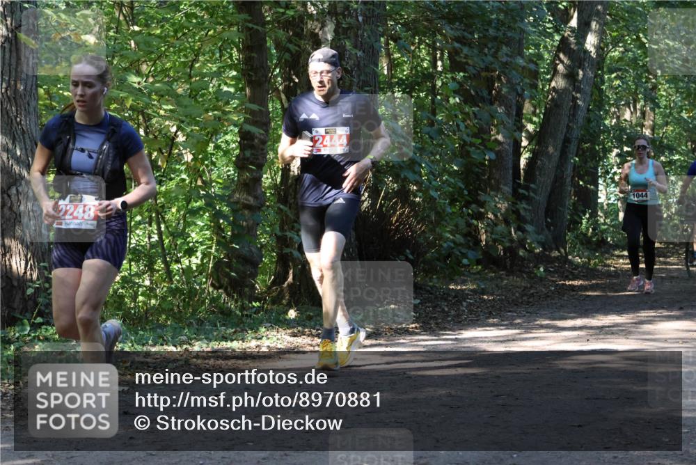 28.09.2025 - 33. Volkslauf durch das schöne Alstertal Strokosch-Dieckow http://msf.ph/oto/8970881 28.09.2025 12:02:01 Laufen 2248, 2444, 1044 meine-sportfotos.de