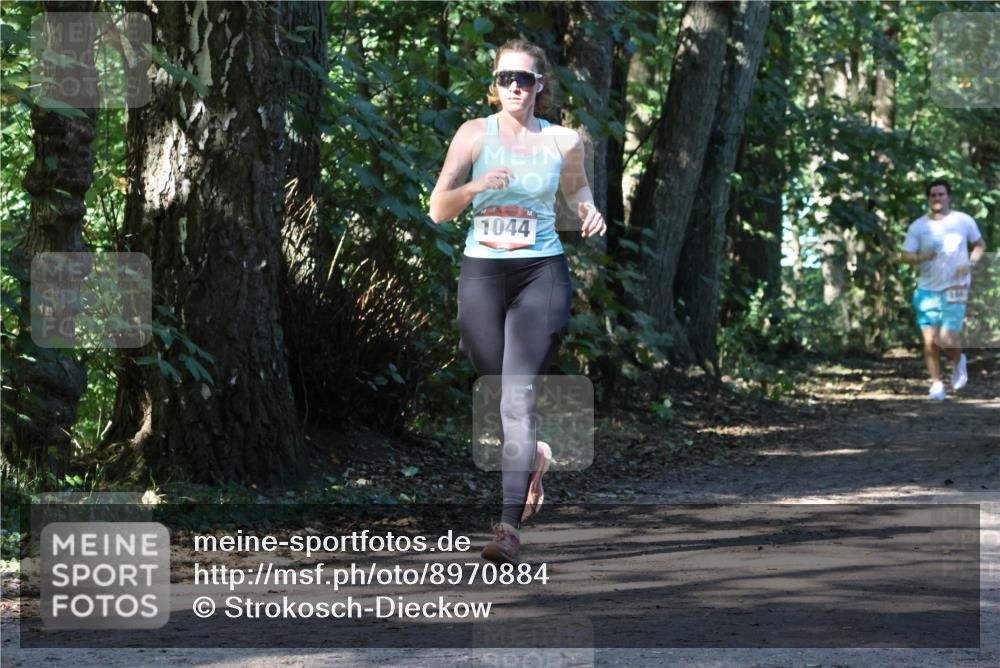 28.09.2025 - 33. Volkslauf durch das schöne Alstertal Strokosch-Dieckow http://msf.ph/oto/8970884 28.09.2025 12:02:03 Laufen 1044, 166 meine-sportfotos.de