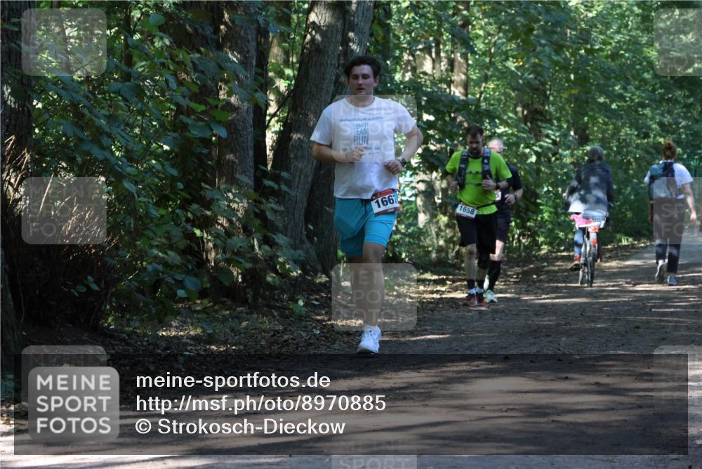 28.09.2025 - 33. Volkslauf durch das schöne Alstertal Strokosch-Dieckow http://msf.ph/oto/8970885 28.09.2025 12:02:09 Laufen 2024, 1667, 1658 meine-sportfotos.de