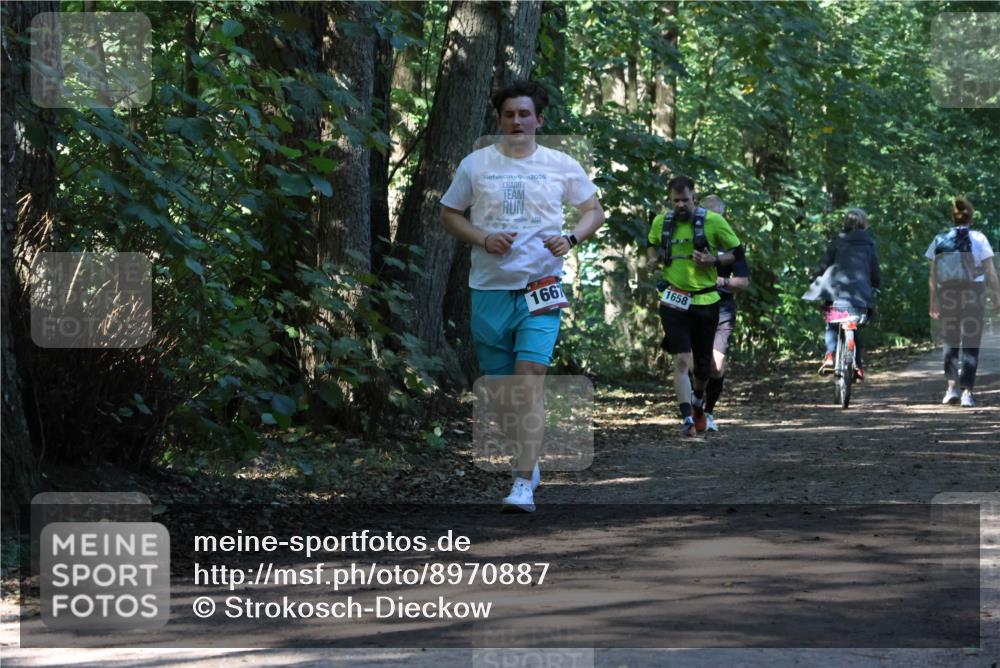 28.09.2025 - 33. Volkslauf durch das schöne Alstertal Strokosch-Dieckow http://msf.ph/oto/8970887 28.09.2025 12:02:09 Laufen 2024, 1667, 1658 meine-sportfotos.de