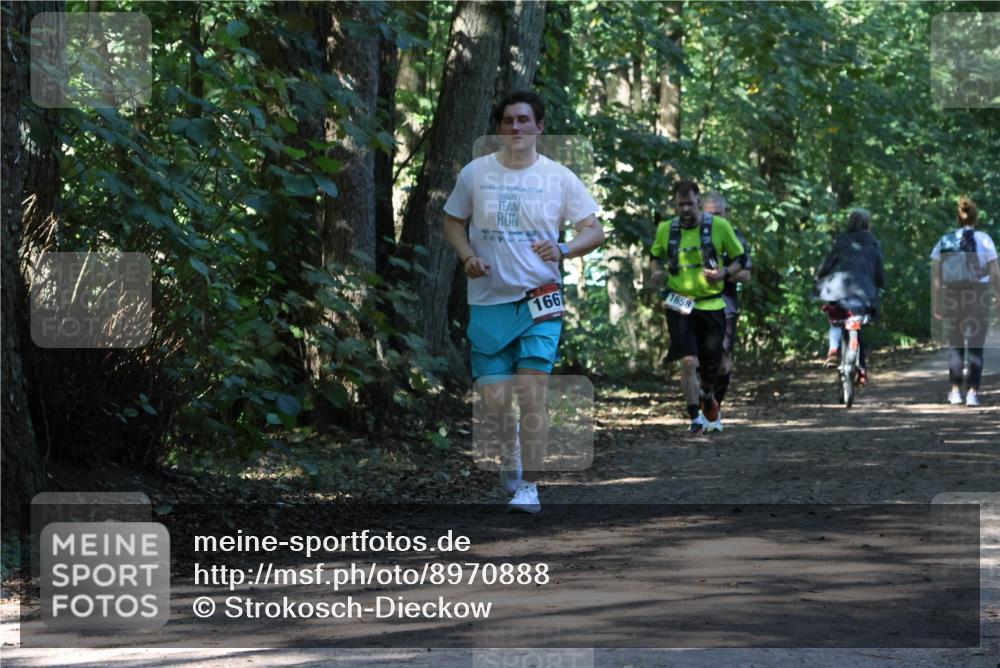 28.09.2025 - 33. Volkslauf durch das schöne Alstertal Strokosch-Dieckow http://msf.ph/oto/8970888 28.09.2025 12:02:10 Laufen 2024, 166, 1658 meine-sportfotos.de