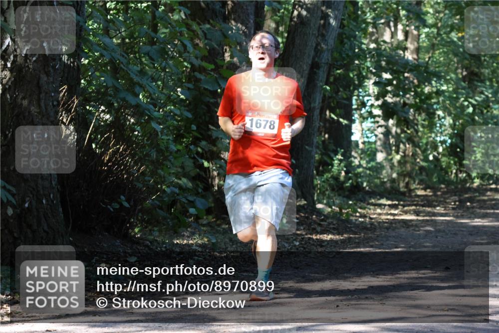 28.09.2025 - 33. Volkslauf durch das schöne Alstertal Strokosch-Dieckow http://msf.ph/oto/8970899 28.09.2025 12:02:28 Laufen 1678 meine-sportfotos.de