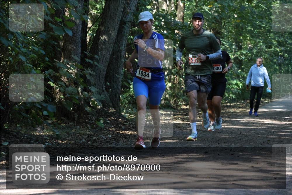 28.09.2025 - 33. Volkslauf durch das schöne Alstertal Strokosch-Dieckow http://msf.ph/oto/8970900 28.09.2025 12:02:38 Laufen 1034, 2459, 030 meine-sportfotos.de