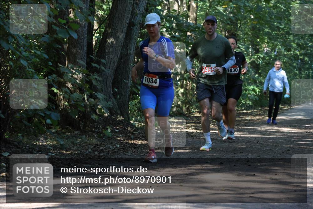 28.09.2025 - 33. Volkslauf durch das schöne Alstertal Strokosch-Dieckow http://msf.ph/oto/8970901 28.09.2025 12:02:38 Laufen 1034, 2459, 1030 meine-sportfotos.de