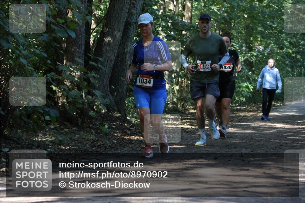28.09.2025 - 33. Volkslauf durch das schöne Alstertal Strokosch-Dieckow http://msf.ph/oto/8970902 28.09.2025 12:02:38 Laufen 1034, 2459, 030 meine-sportfotos.de