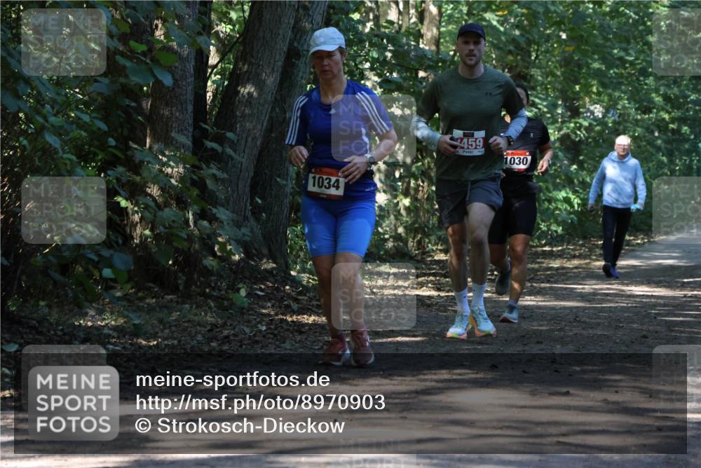 28.09.2025 - 33. Volkslauf durch das schöne Alstertal Strokosch-Dieckow http://msf.ph/oto/8970903 28.09.2025 12:02:38 Laufen 1034, 459, 1030 meine-sportfotos.de